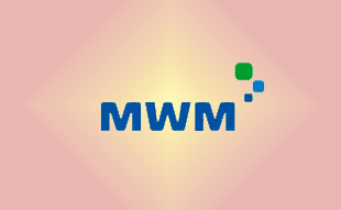 ✓ MWM �����������������������������������������������������  